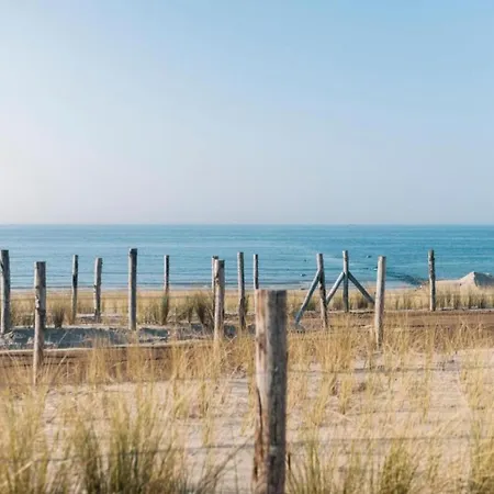 Apartment In Near The Beach, Cleaning Included Westende