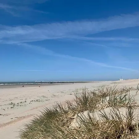 In Near The Beach, Cleaning Included