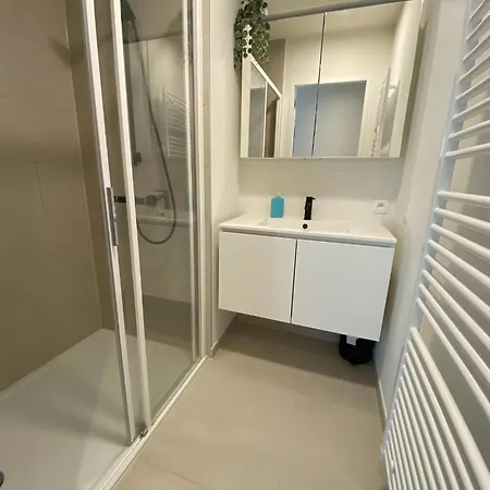 In Near The Beach, Cleaning Included Apartment Westende